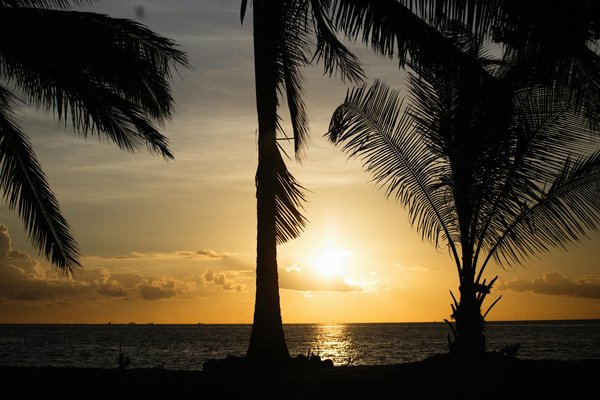 Comment planifier une croisière pour explorer les fjords de Patagonie au Chili?