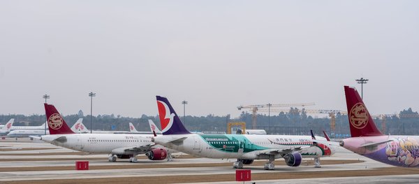 Comment organiser un séjour en Bretagne avec des cours de navigation et des balades en mer?